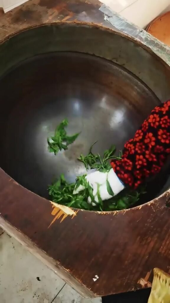 Gloved hand tossing long fresh Taiping Houkui leaves in a hot iron wok
