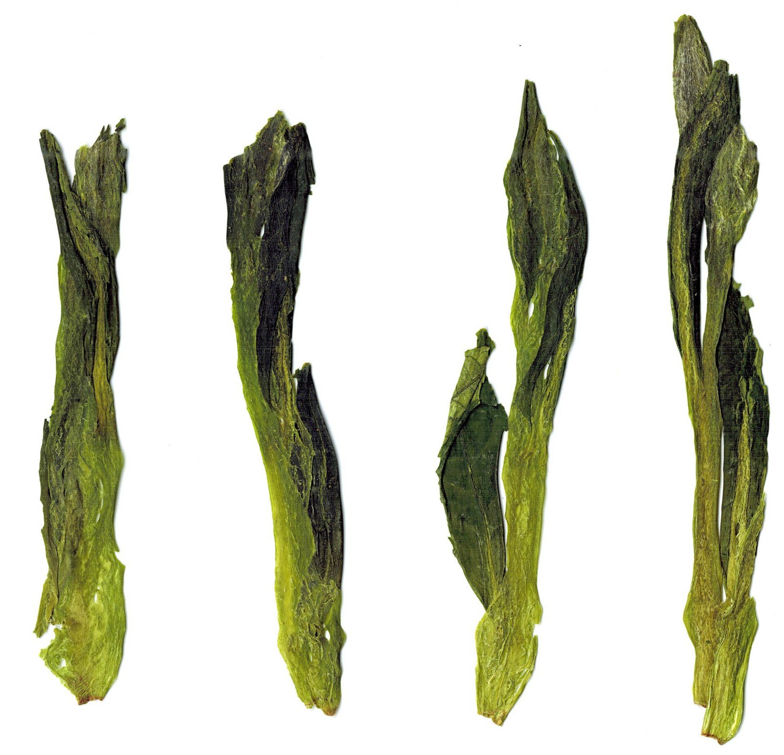 Four single Taiping Houkui leaf sets on a white background, showing the long flat shape and pointed ends
