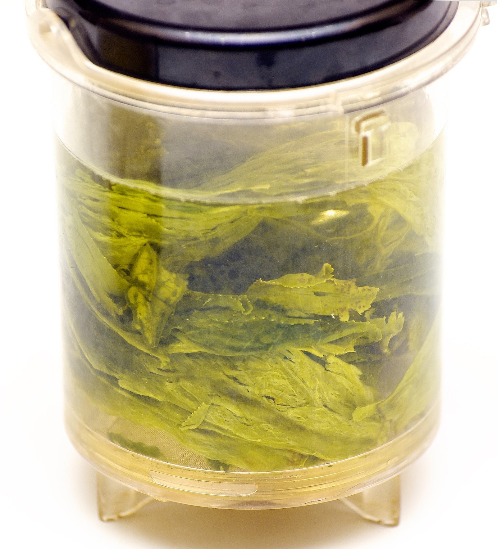 Taiping Houkui leaves opening into whole leaf sets in a clear brewing cup of pale green liquor